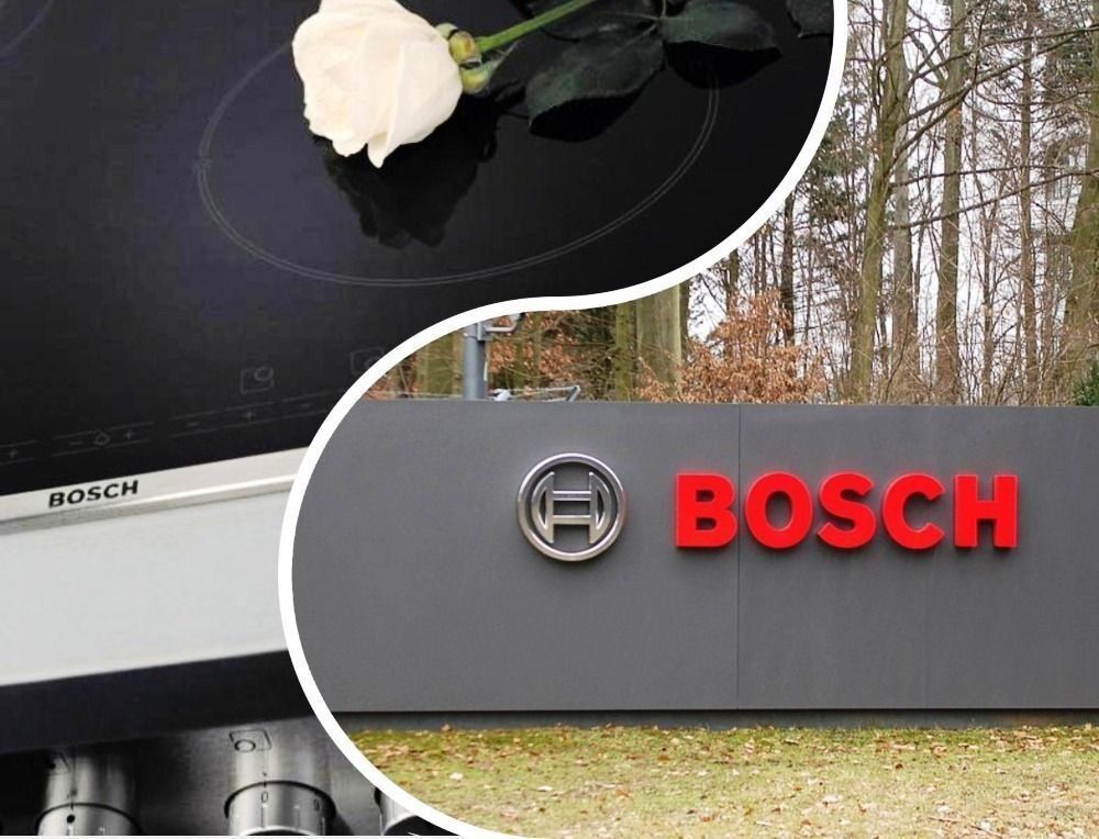 Ang mga Bosch hobs - maaasahan, naka-istilong, ang pinakamahusay