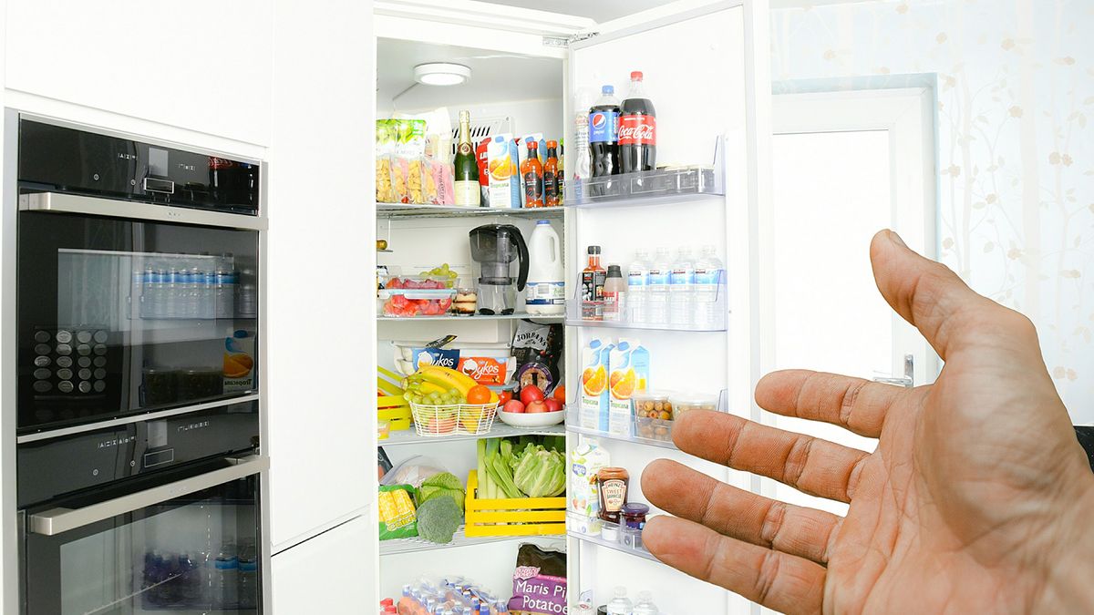 Rating ng pinakamahusay na mga refrigerator ng Gorenje sa 2020
